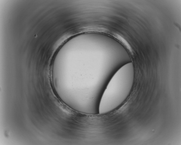 X0000096191043200801181004