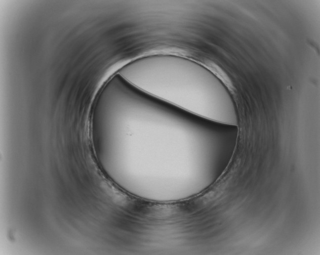 X0000096191044200801181004