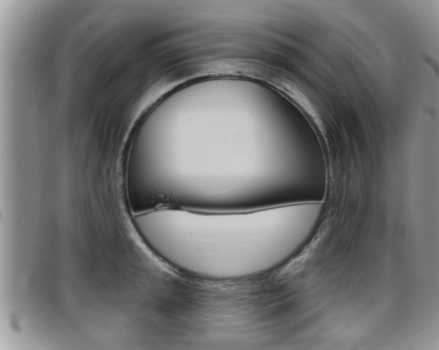 X0000096191045200801181004