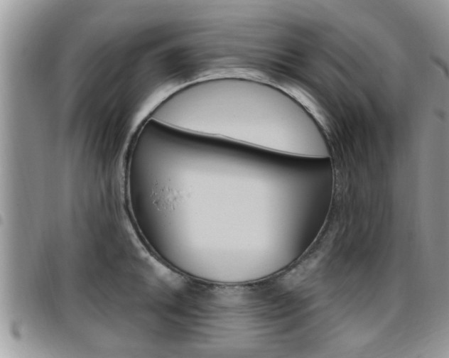 X0000096191046200801181004