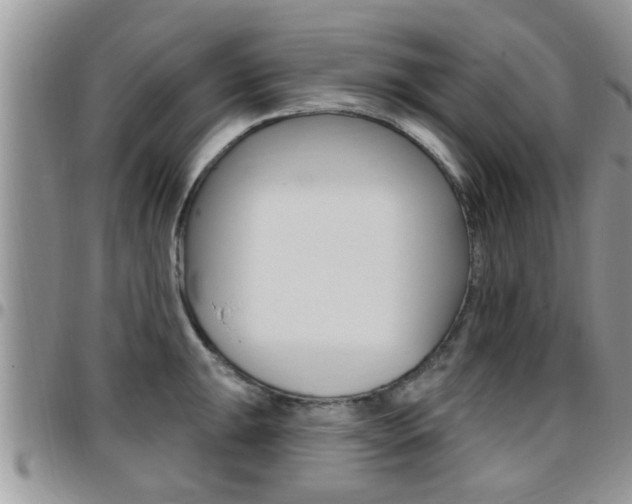 X0000096191047200801181004