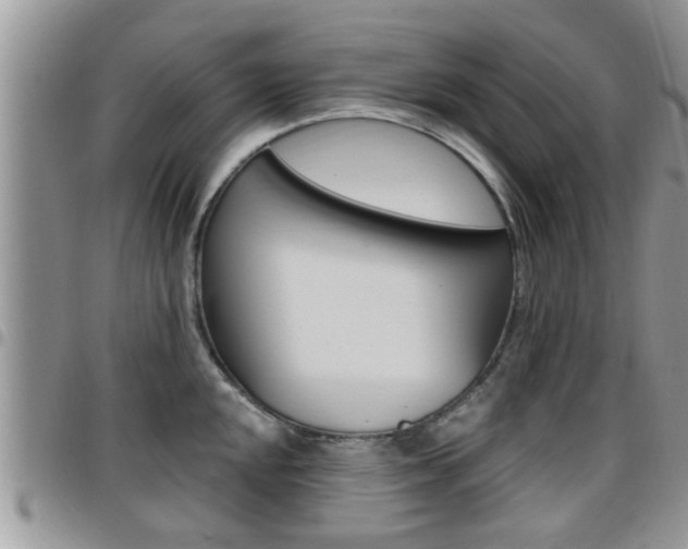 X0000096191048200801181004