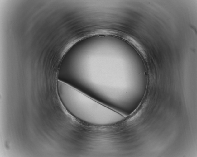 X0000096191049200801181004