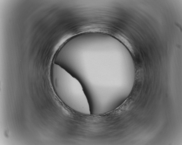 X0000096191051200801181004