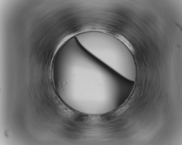 X0000096191052200801181004
