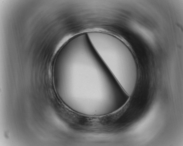 X0000096191054200801181004