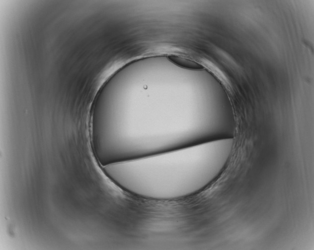 X0000096191055200801181004