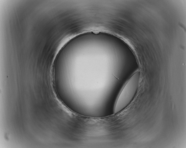 X0000096191056200801181004