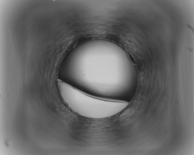 X0000096191057200801181003