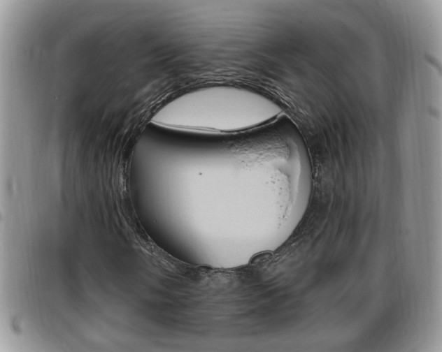 X0000096191058200801181003