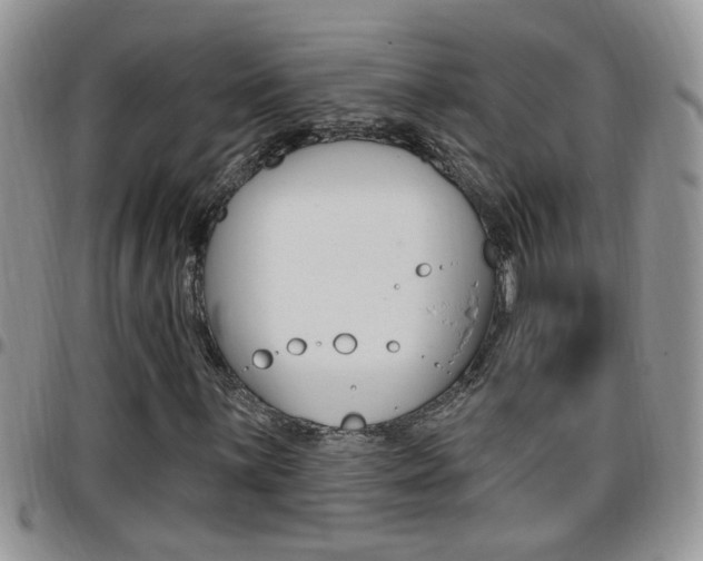 X0000096191059200801181003