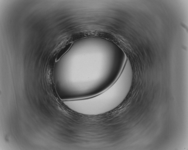 X0000096191060200801181003