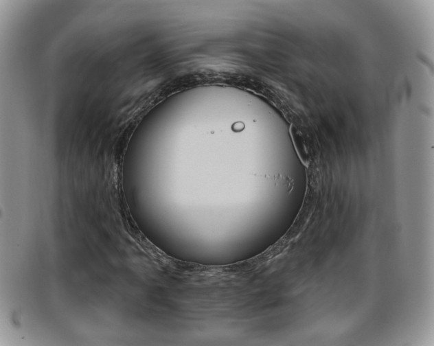 X0000096191061200801181003
