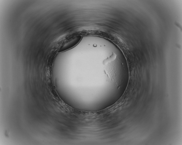 X0000096191062200801181003