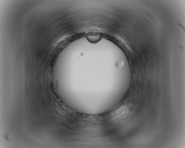 X0000096191063200801181003