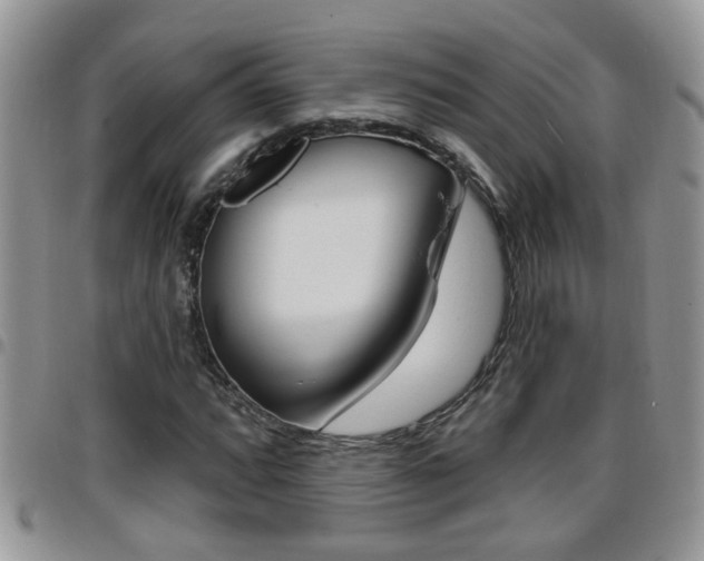 X0000096191064200801181003