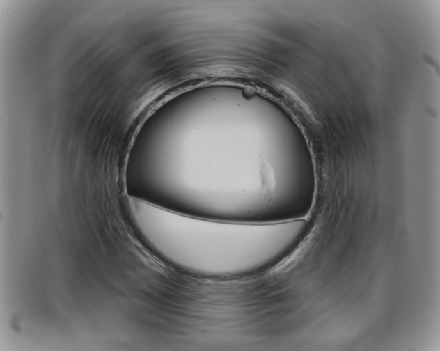 X0000096191065200801181003