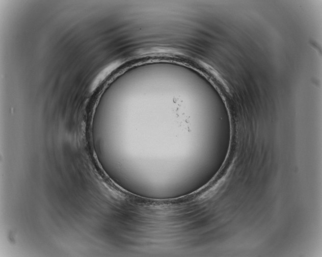 X0000096191066200801181003