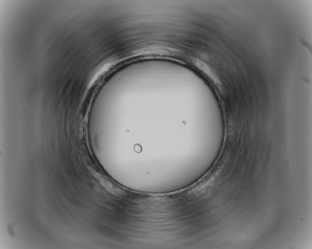 X0000096191067200801181003
