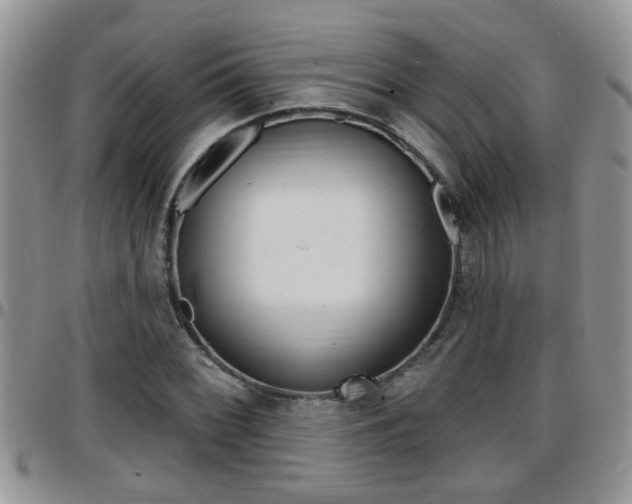 X0000096191068200801181003