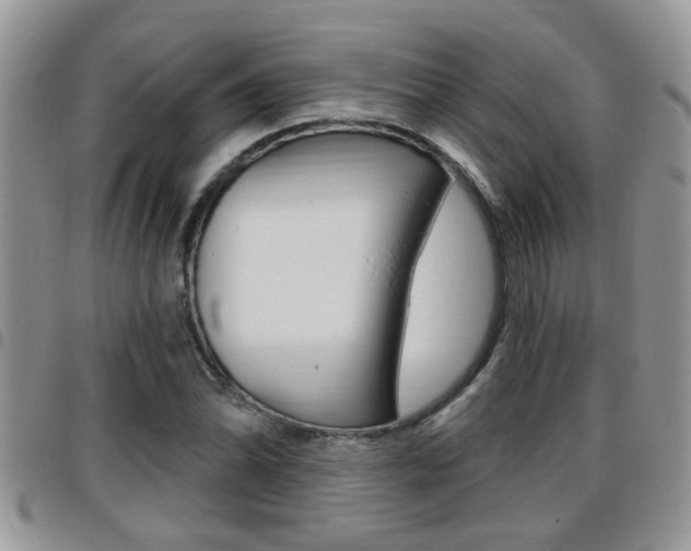 X0000096191070200801181003