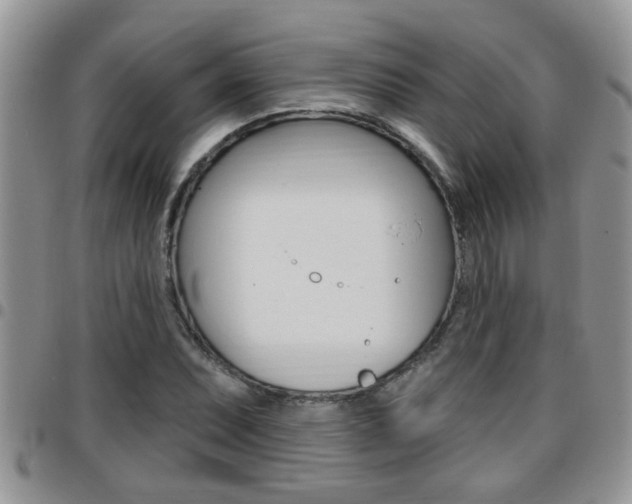 X0000096191071200801181003