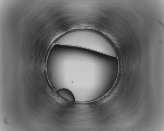 X0000096191073200801181003