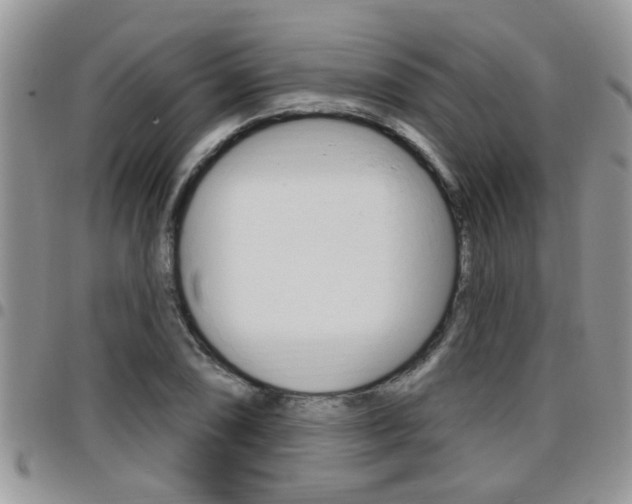 X0000096191074200801181003
