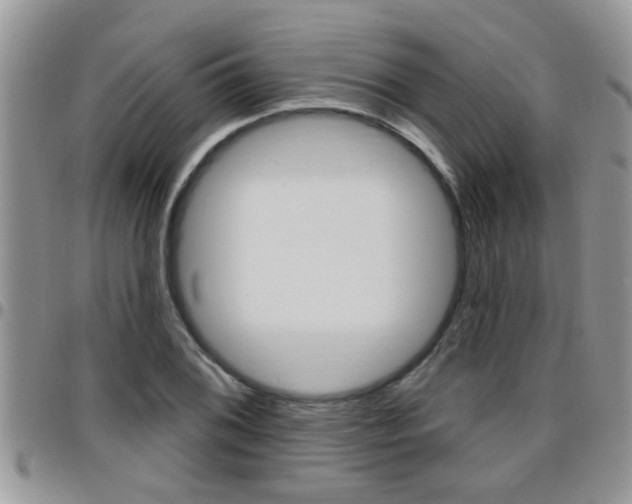 X0000096191076200801181003