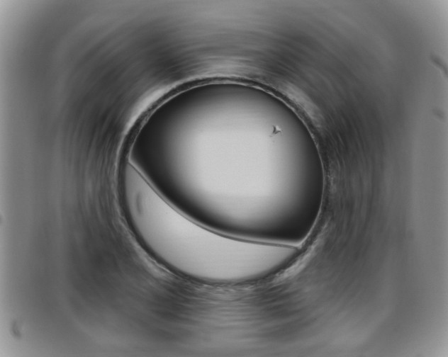 X0000096191077200801181003