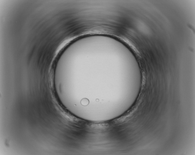 X0000096191078200801181003