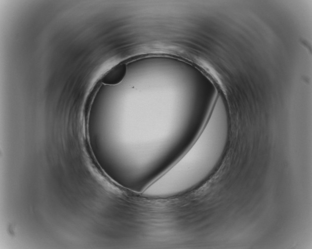 X0000096191080200801181003