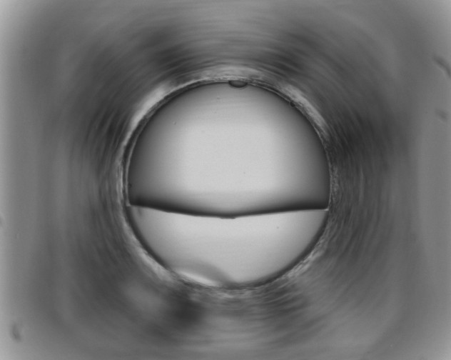 X0000096191083200801181003