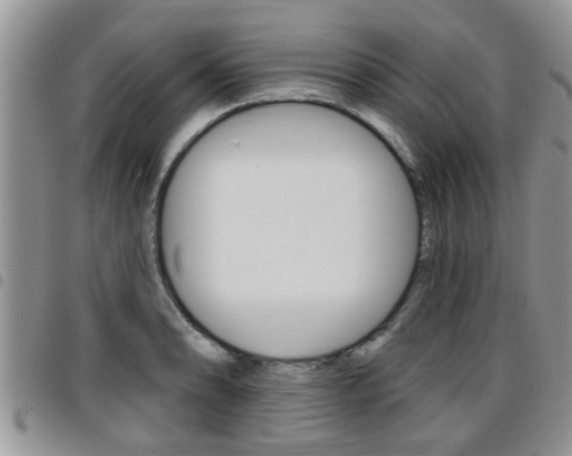 X0000096191086200801181003