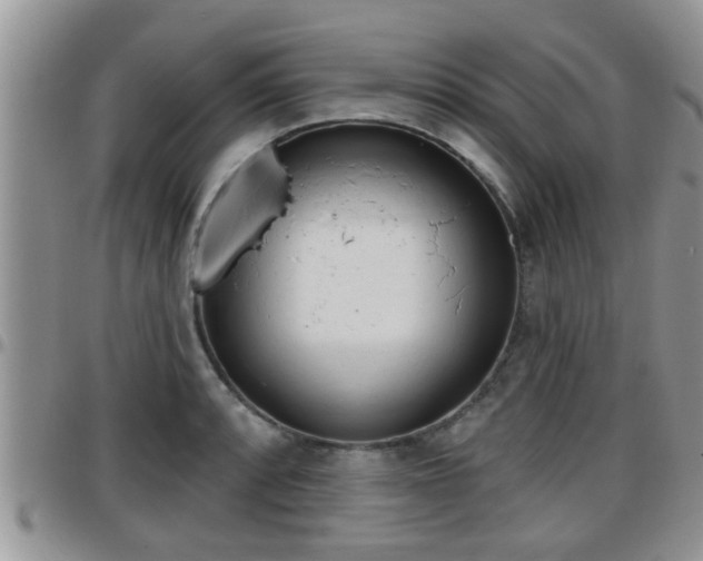 X0000096191088200801181003