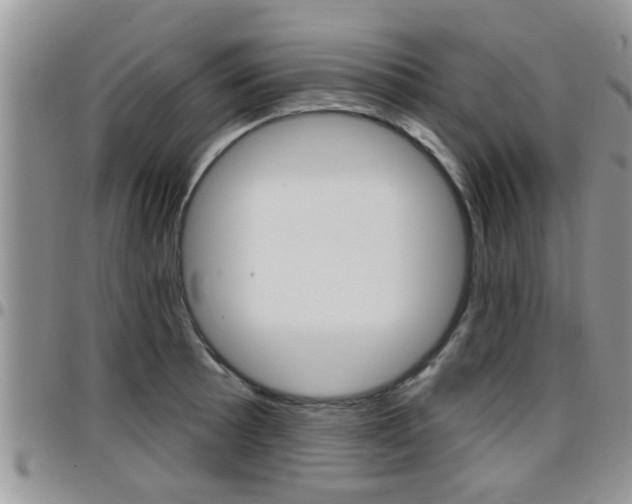 X0000096191089200801181003