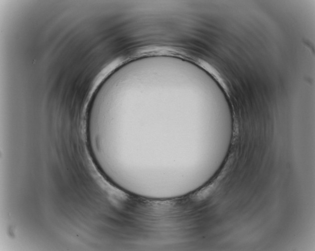 X0000096191090200801181003