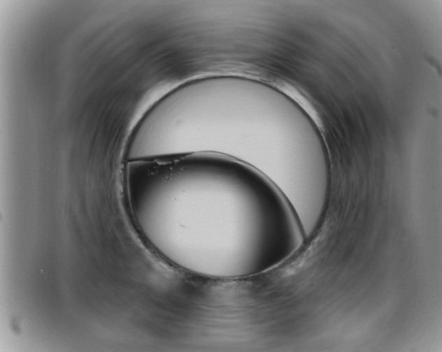 X0000096191093200801181003