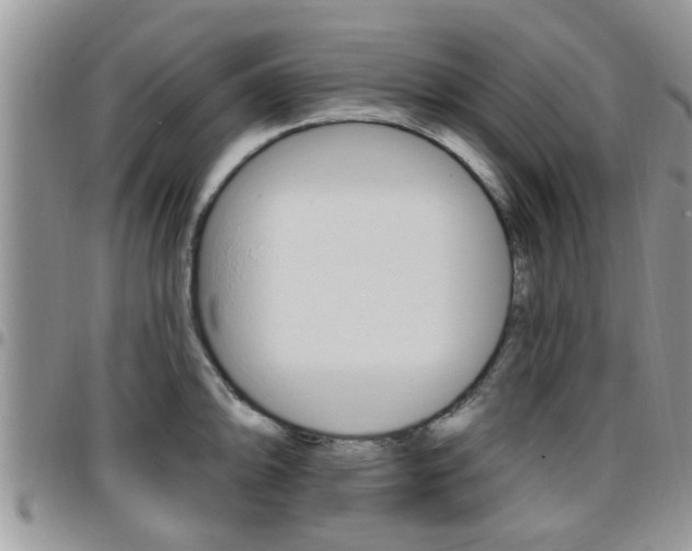 X0000096191094200801181003