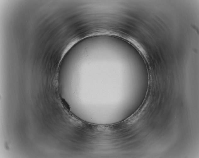 X0000096191097200801181003