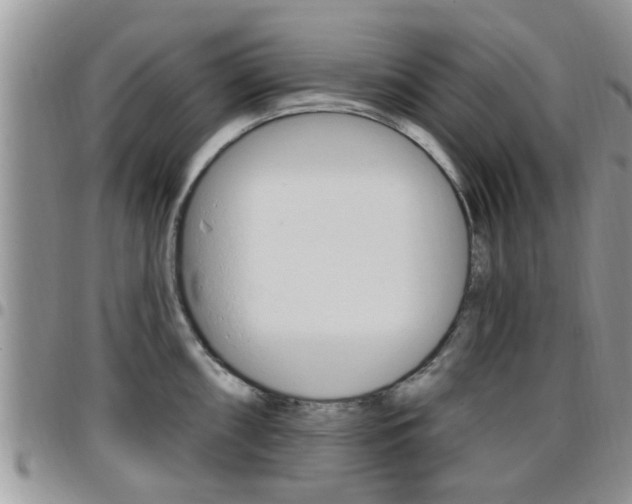 X0000096191098200801181003
