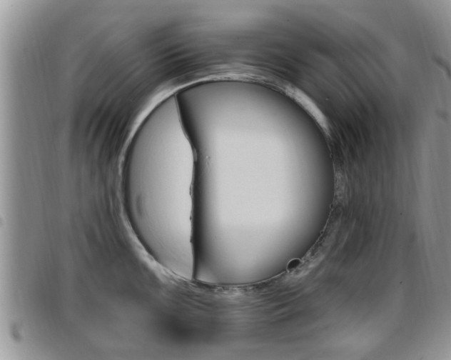 X0000096191099200801181003
