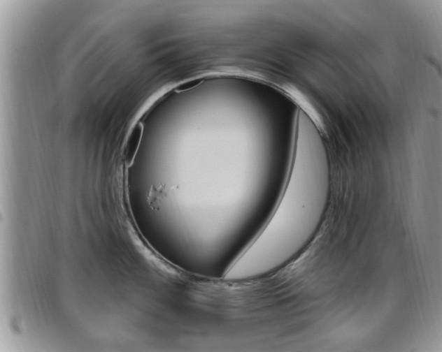 X0000096191100200801181003