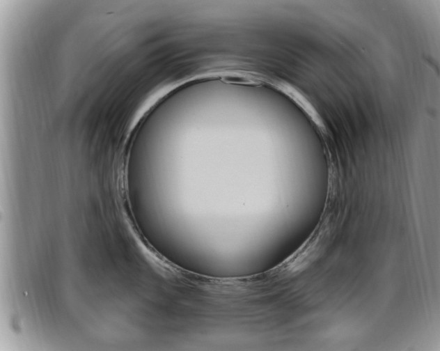 X0000096191101200801181003