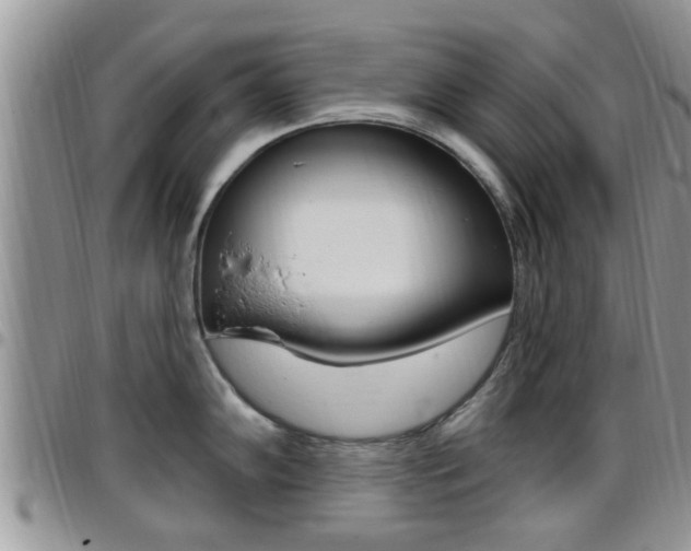 X0000096191102200801181003
