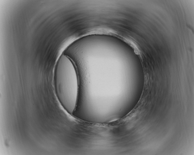 X0000096191103200801181003
