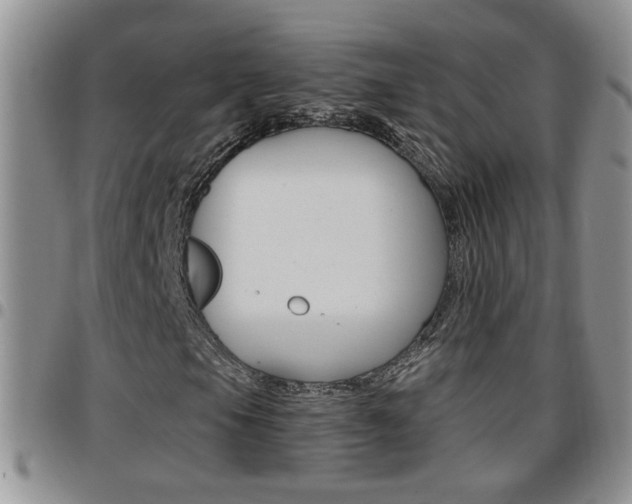 X0000096191105200801181002