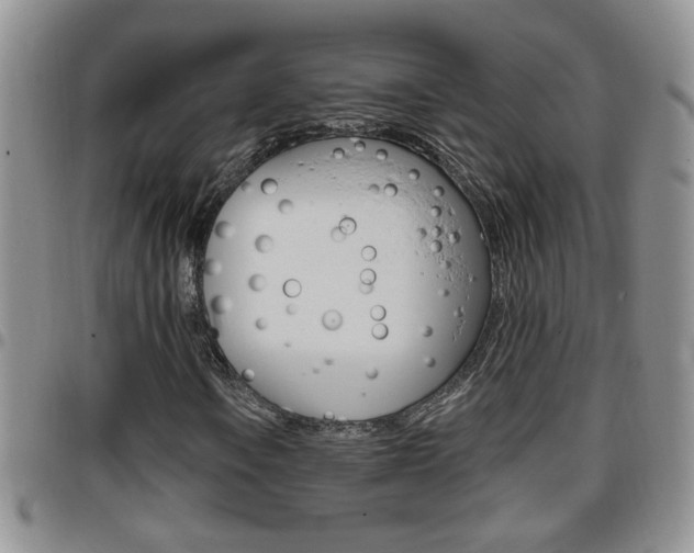 X0000096191106200801181002