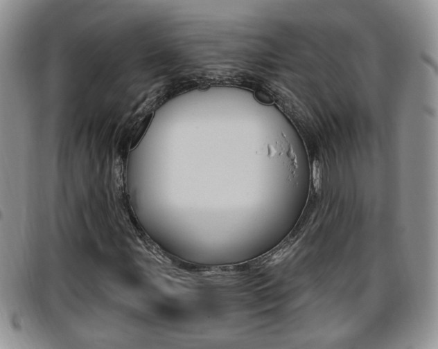 X0000096191107200801181002