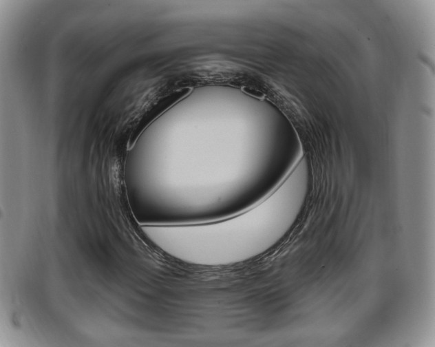 X0000096191108200801181002